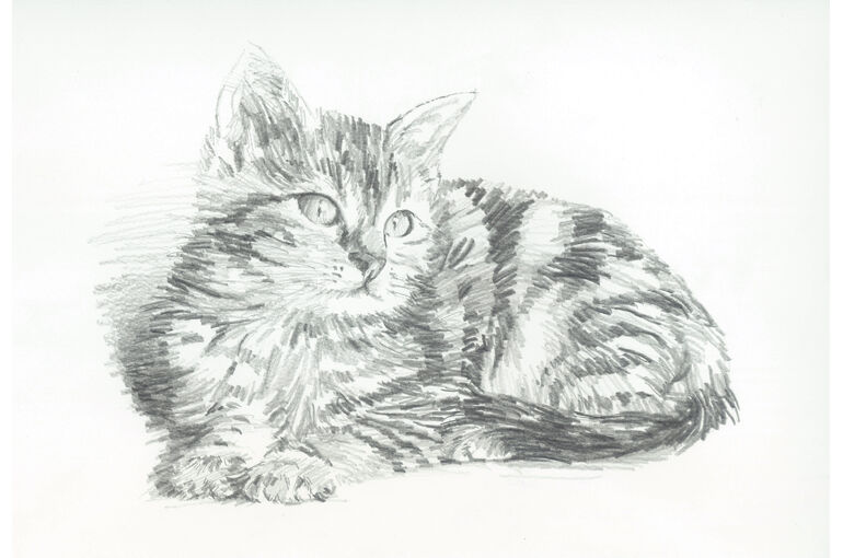 猫が描ける