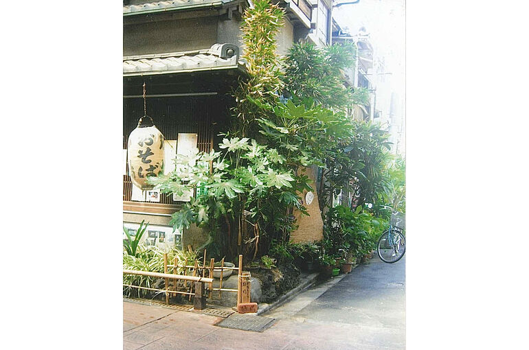植物