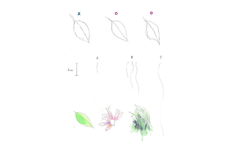 絵の練習
