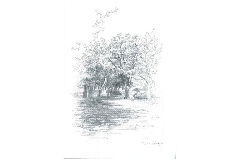 鉛筆画